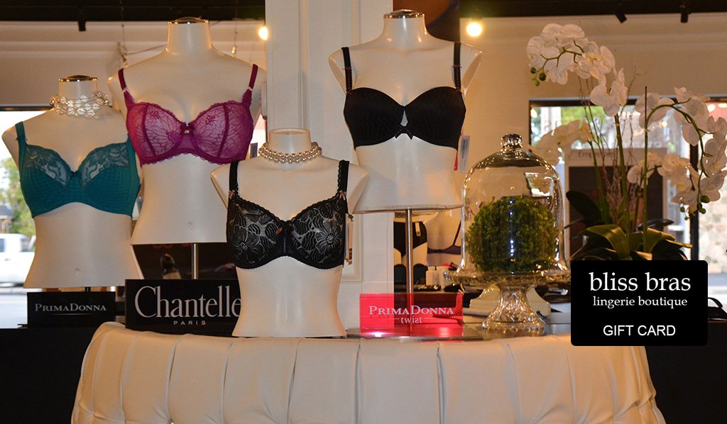Bras displayed on forms at Bliss Bras with a gift card